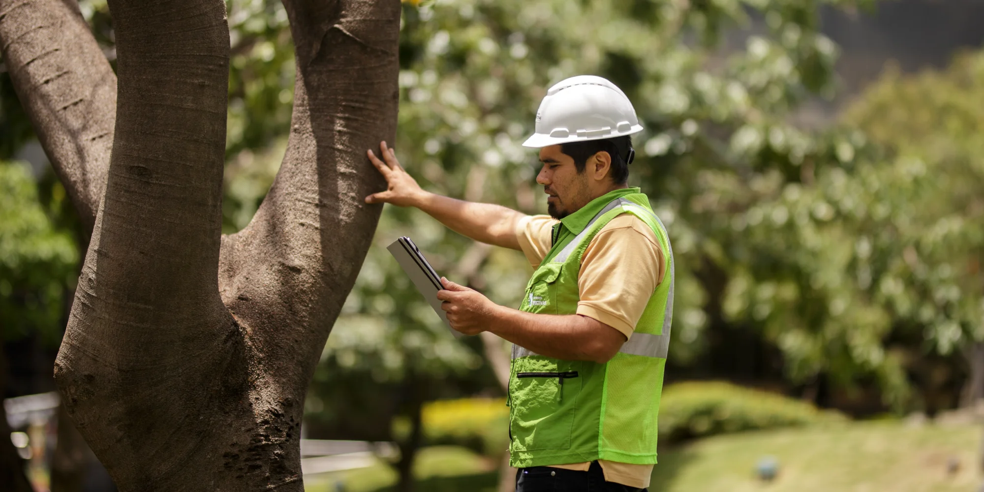 Gestión Ambiental y Sostenibilidad